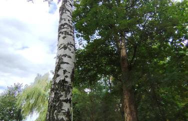 Mieszkanie w Oficynie Pałacu Goetza BRZESKO - Photo 9