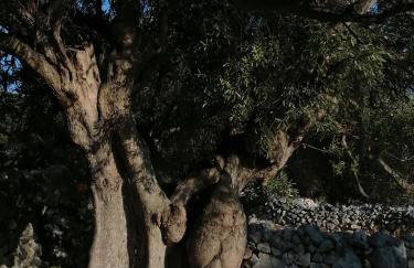 Bella Mare - Foto 20