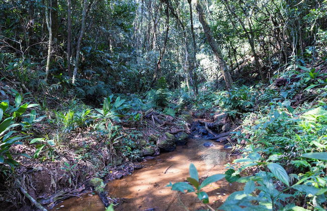 Sitio Natureza piscina e churrasqueira - Photo 61