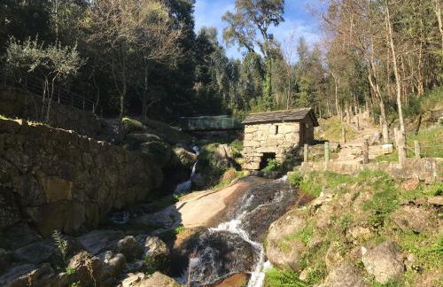 Mira Douro Valley Home - Foto 64