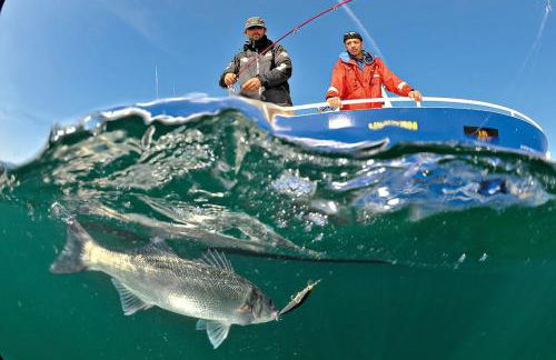 le Colibri "3 étoiles" - Foto 26