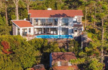 Atlantic Heritage Luxury Villa - Photo 3