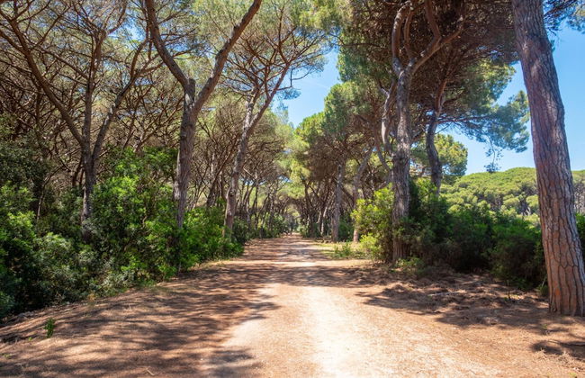 Chalet Vignarola in Orbetello - Photo 42