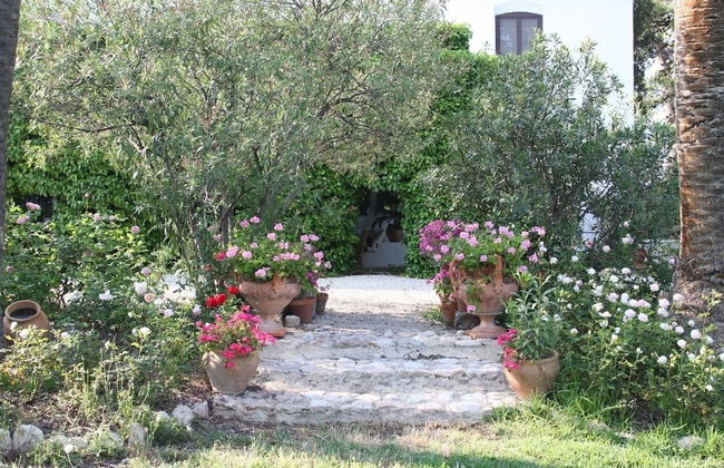 Finca Belon - Foto 14