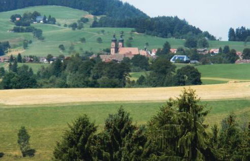 Two-Bedroom Holiday Home With Mountain View In St Märgen - Foto 19