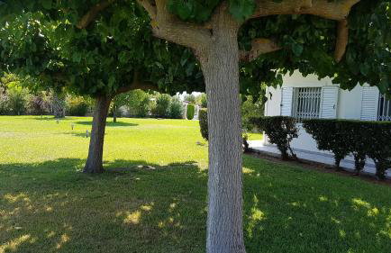 Silver villa Raches maisonette & Green - Foto 26