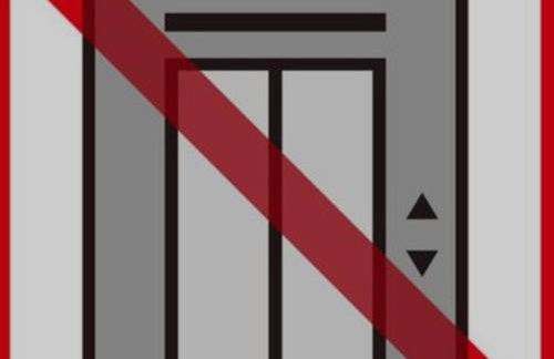 Los tucanes - Photo 15