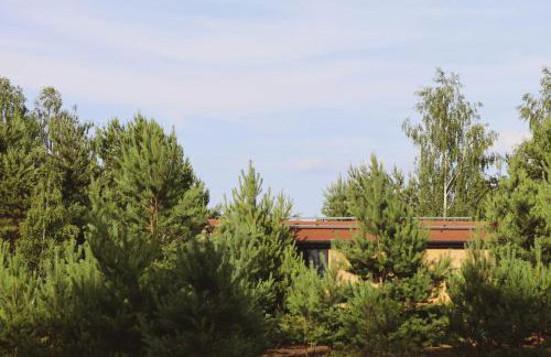 Oaza Święty Spokój - domek z balią i jacuzzi - Foto 28