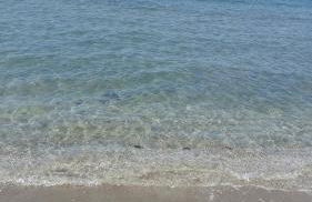 Villa Hermosa Beach - Foto 43