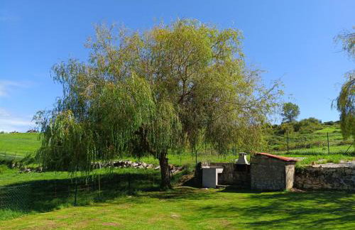 La Tadorna - Photo 7