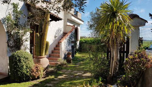 La Limonaia - Foto 2