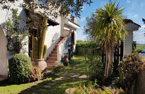 La Limonaia - Foto 2