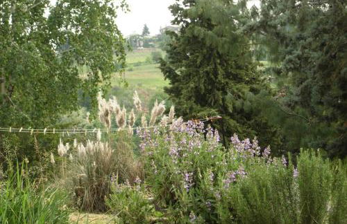 Agriturismo Le Spezie - Foto 88