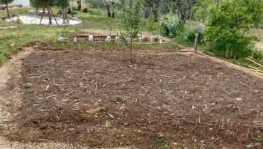 Casinha das Estrelas - Photo 3