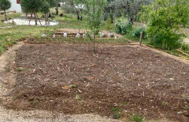 Casinha das Estrelas - Photo 3