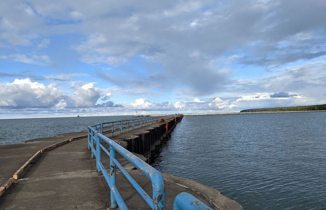 Little Yellow Cottages - Foto 61