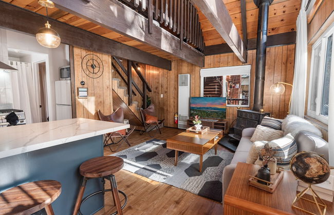 Bearadise - Photo 12