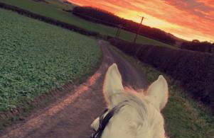 Stewards Bothy - Foto 71