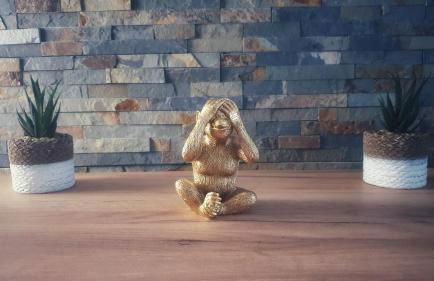 Disneyland Expérience !! - Foto 17