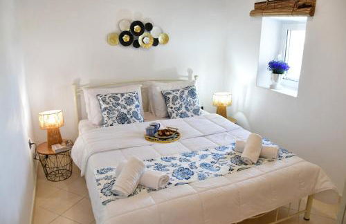 Da Vinci kavouropetra - Foto 23