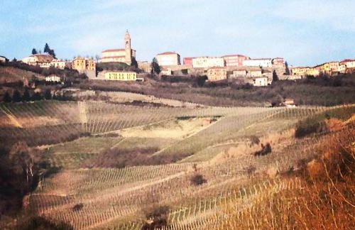 Cascina Maina - Foto 18