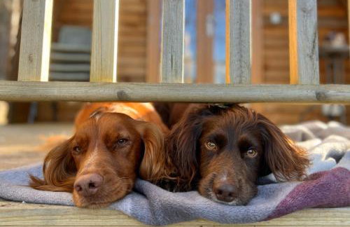 Glenlivet by Wigwam Holidays - Foto 18