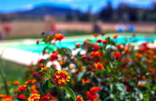 Agriturismo Piperedda - Foto 44