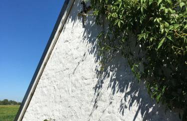 Ferienhaus Norddeichkieker -Nähe Büsum - Foto 41