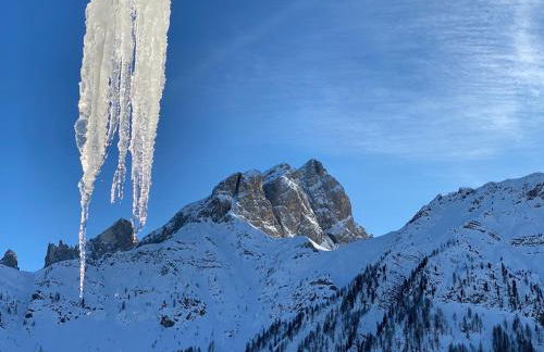 Piccolo Nido Falcade - Foto 53