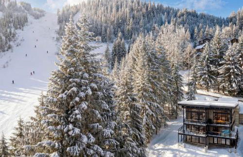 Ski In and Out The Mountainside House with Hot Tub! - Foto 42