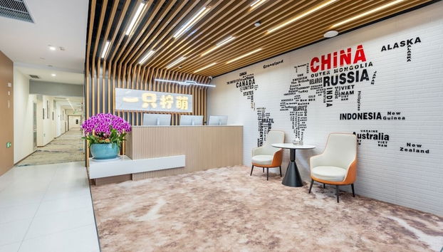 Lemon Hotel-Hangzhou West Lake - Foto 2, Recepción