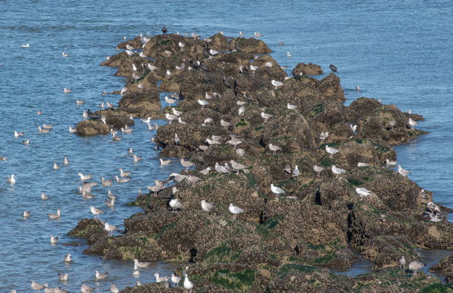 2 bedroom Apartment in Ostend - Photo 31