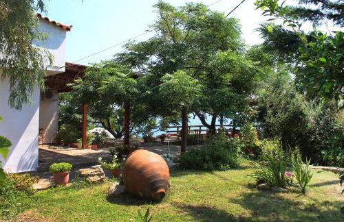 Ikaria Utopia - Cusco Studios - Photo 31