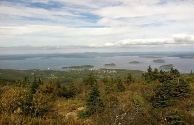 Clamshell By The Sea - Photo 21