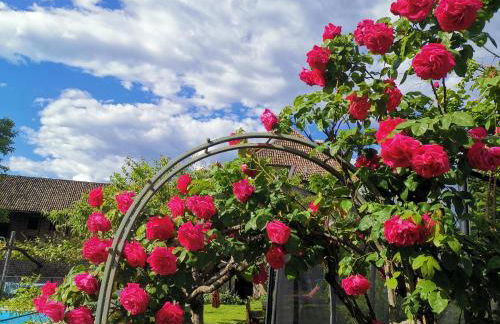 Ansitz Grustdorf - Foto 55