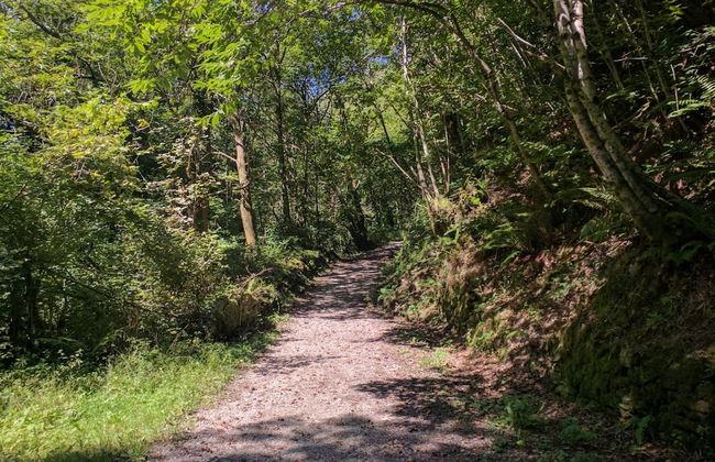 Apartamento Cabañaquinta Senderista - Foto 22