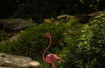 Luxury Estate on 10 Acres - Foto 78