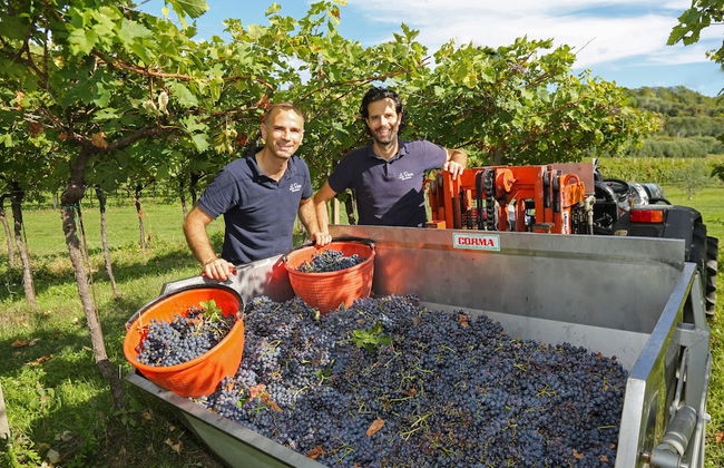 Agriturismo La Rocca - Foto 77