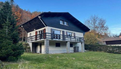 CHALET DES HAUTS SAPINS LA BRESSE - Photo 2, Garden, Garden view