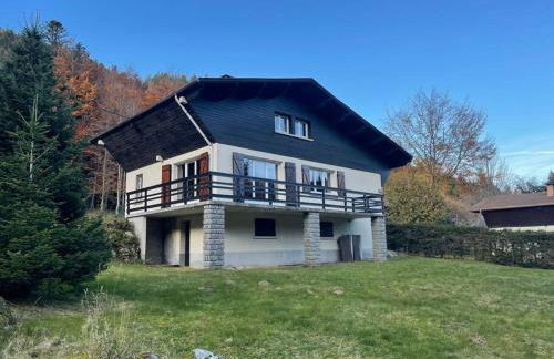 CHALET DES HAUTS SAPINS LA BRESSE - Photo 2