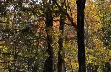 Serenity and Fun all in one in this Cozy Pocono Cabin - Foto 52