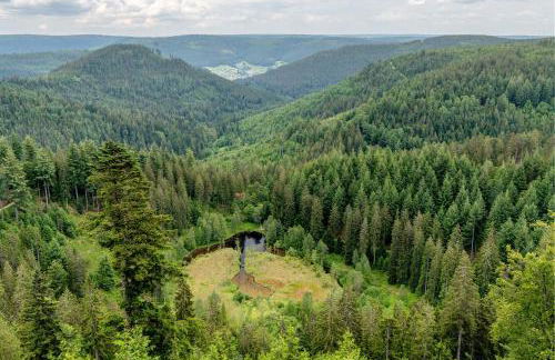 Haus Seiler - Foto 8