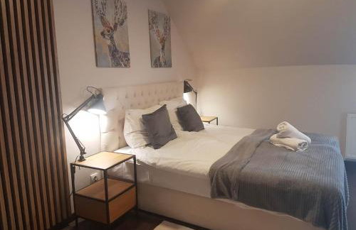 Apartamenty Pod Łysicą & SPA - przy stoku, basen, jacuzzi, sauna - Foto 102