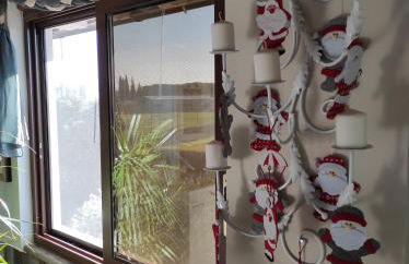 Cactus house - Foto 51