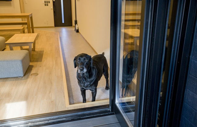 Rakuten STAY Nikko Hoden - Photo 44