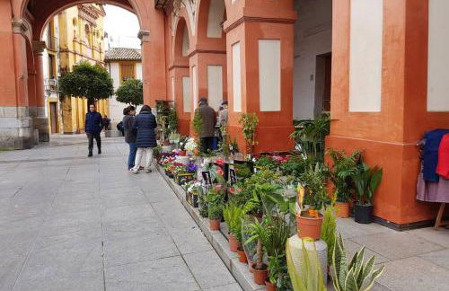 Apartamento San Pedro-Corredera - Foto 31