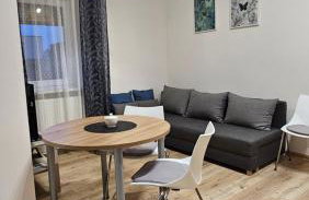 Kawalerka Na Wsi - Foto 1