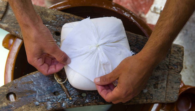 Binissues Ticket + Cheese Making Demonstration - Photo 5