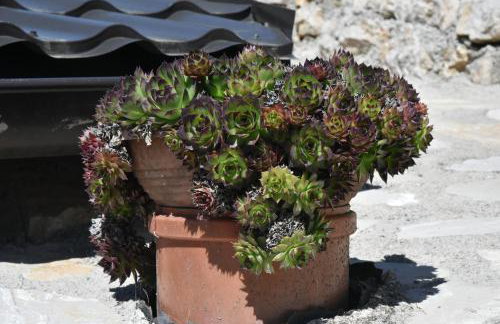 Apartment Bobic - Foto 33