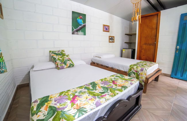 La Posada De Las Aves - Photo 16